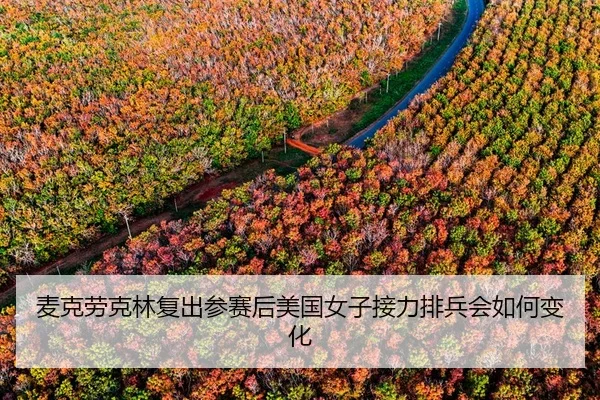 麦克劳克林复出参赛后美国女子接力排兵会如何变化