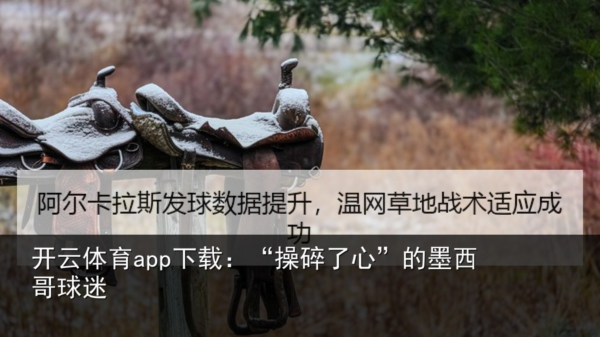 开云体育app下载：“操碎了心”的墨西哥球迷