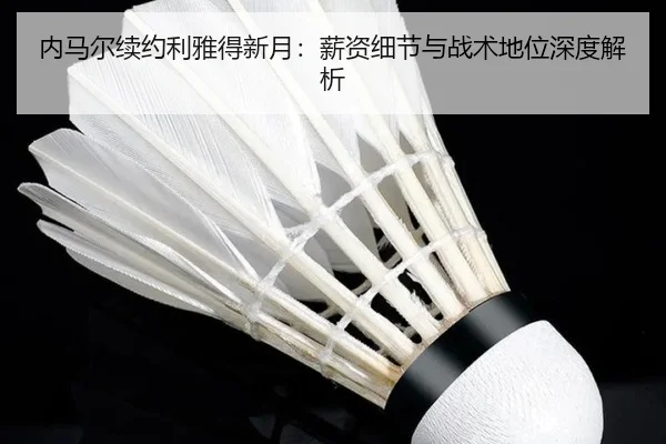 nei-ma-er-xu-yue-li-ya-de-xin-yue-xin-zi-xi-jie-yu-zhan-shu-di-wei-shen-du-jie-xi-2-755.jpg